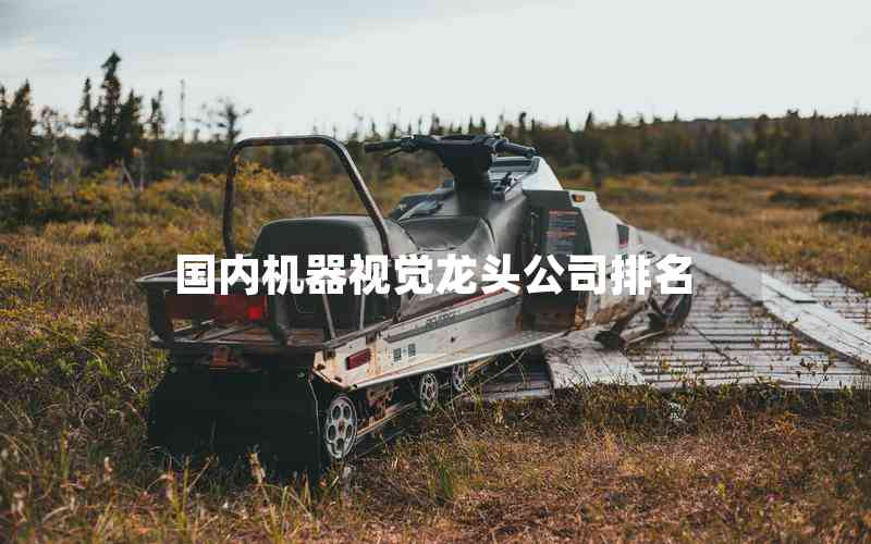 國(guó)內(nèi)機(jī)器視覺龍頭公司排名