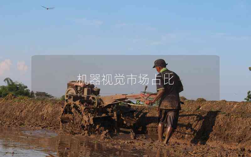 機器視覺市場占比