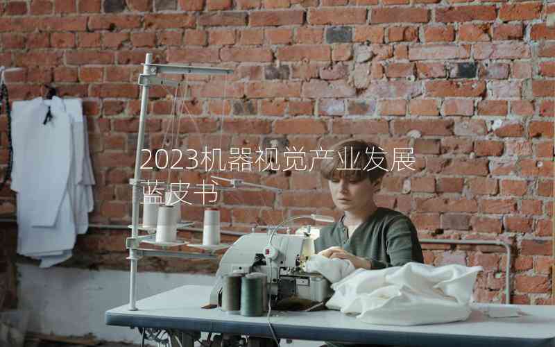 2023機(jī)器視覺產(chǎn)業(yè)發(fā)展藍(lán)皮書