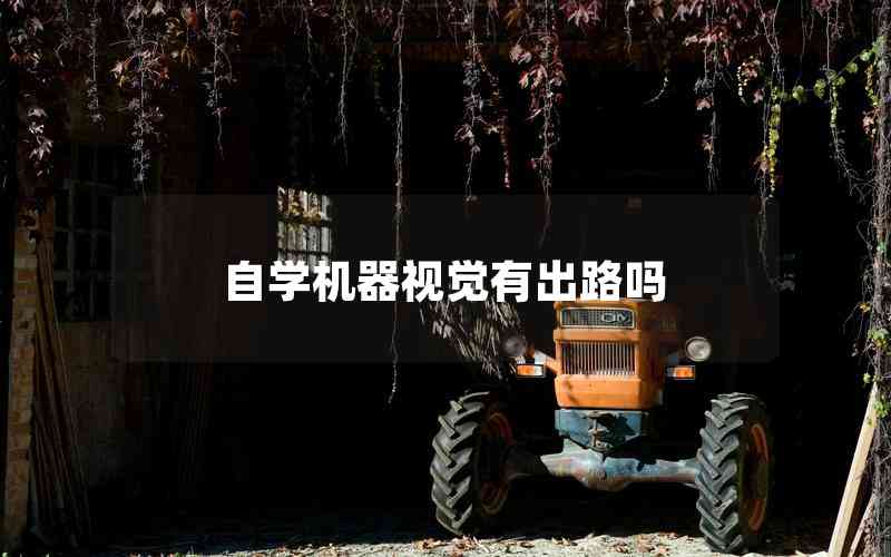 自學(xué)機(jī)器視覺(jué)有出路嗎